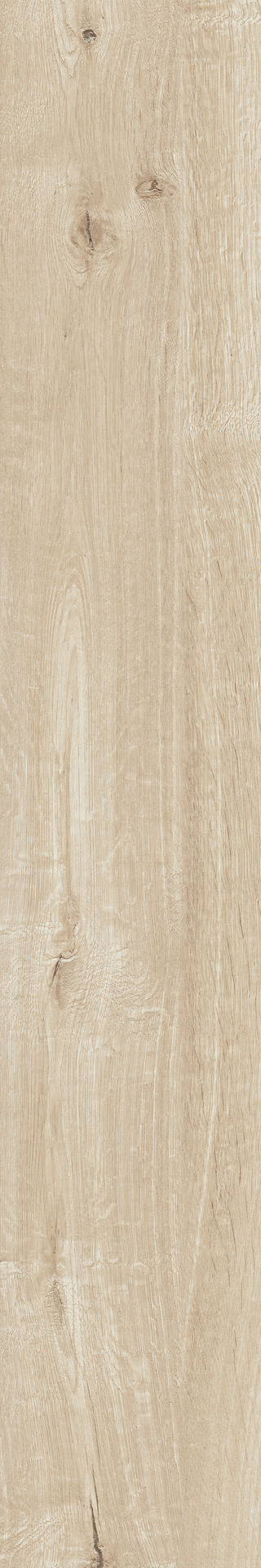 Ragno Woodtale  - Woodtale – R4TM