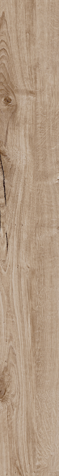 Ragno Woodtale  - Woodtale – R4TU