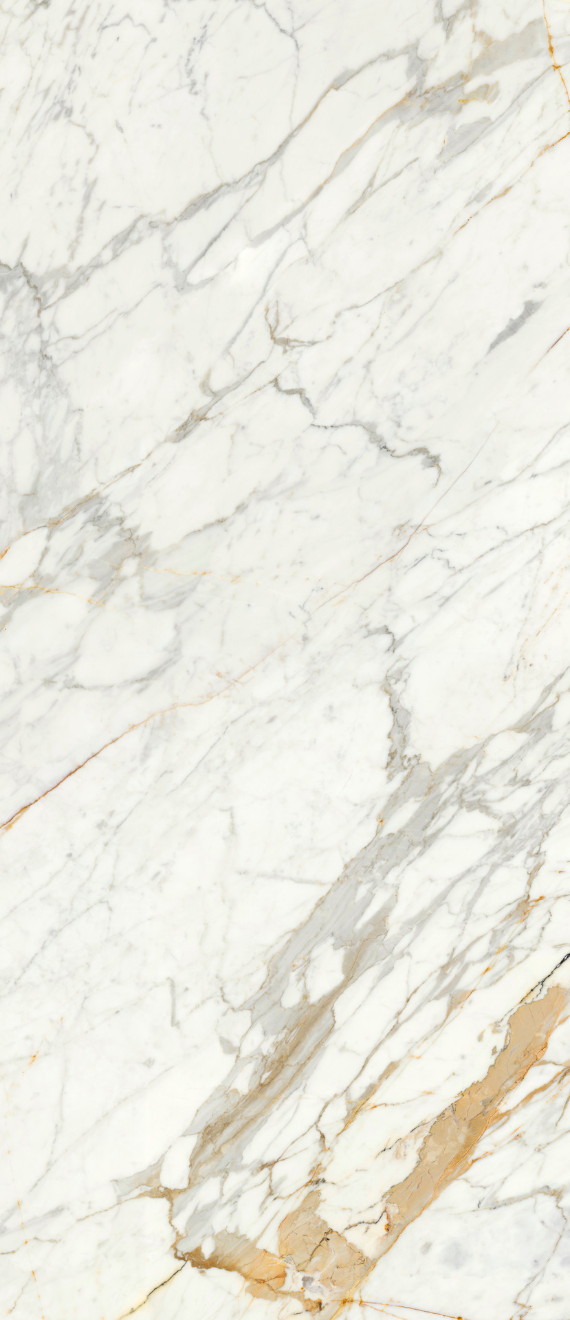 Ragno Incanto  - Incanto – R8NG