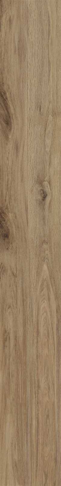 Treverktrend – MMJF