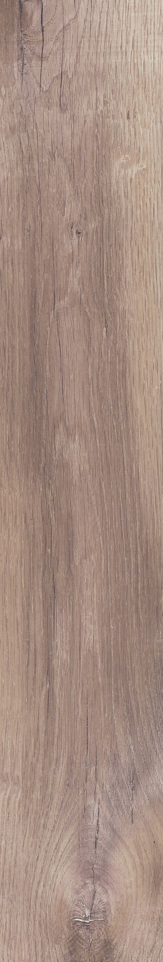 Treverkmood – MLNN