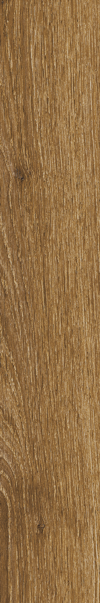 Ragno Ossimori  - Ossimori – R9TJ