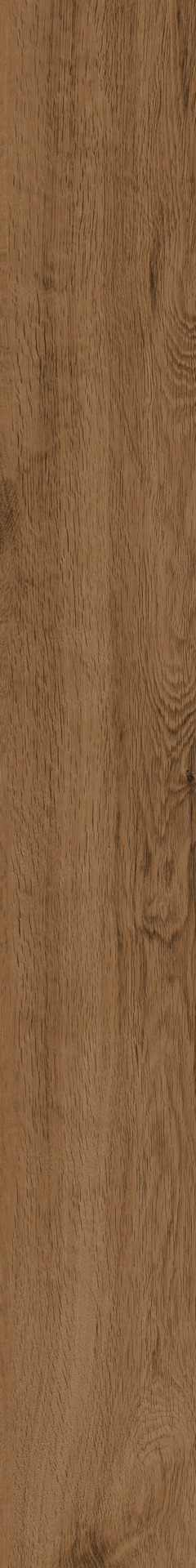 Ragno Woodtale  - Woodtale – R4TW