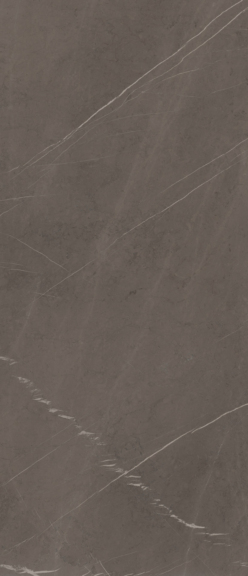 Ragno Incanto  - Incanto – R8SZ