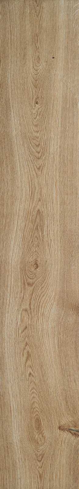 Treverkever – MH8A