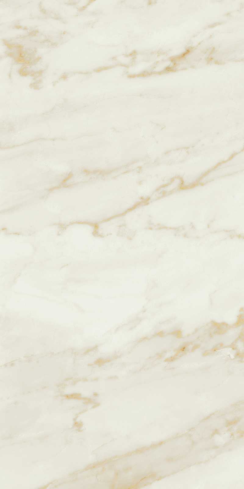 Ragno Imperiale  - Imperiale – R72S