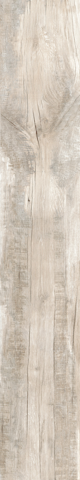 Ragno Woodmania  - Woodmania – R56L