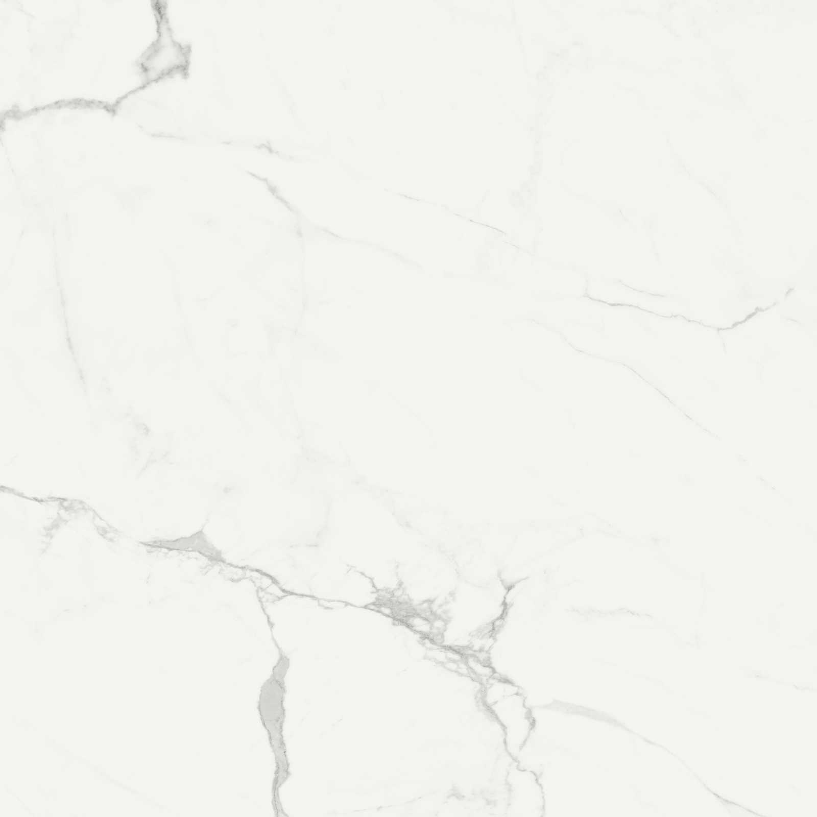 Ragno Imperiale  - Imperiale – R73A