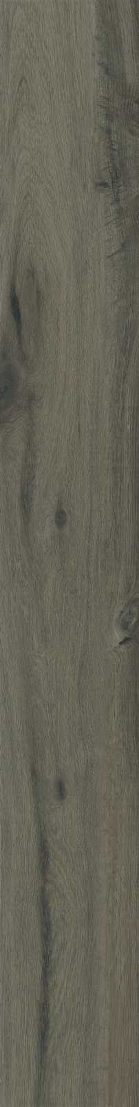 Treverktrend – MMJH