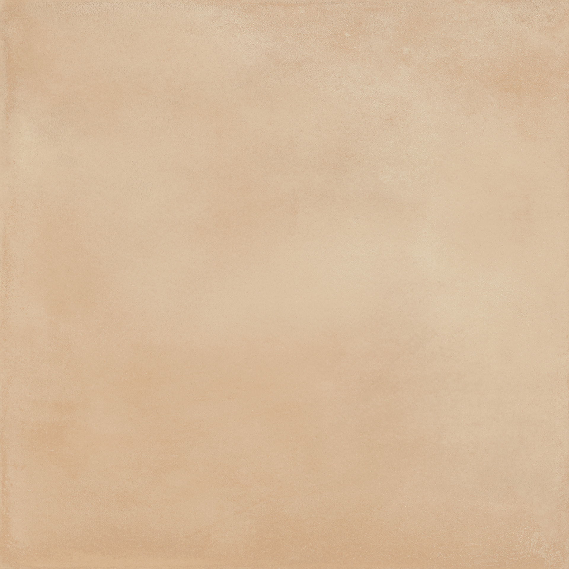 Ragno Amuri  - Amuri – RC8X