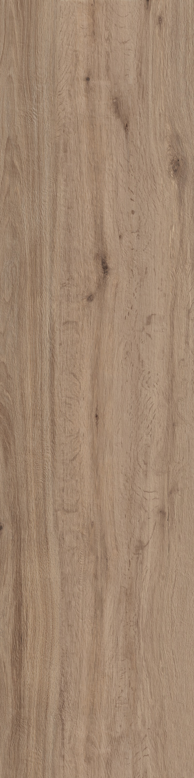 Treverktrend – MMJ1