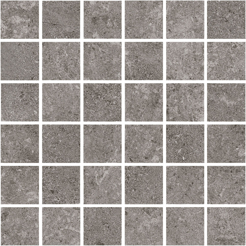 Leccese Fossile Mosaic