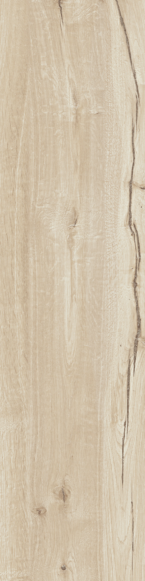 Ragno Woodtale  - Woodtale – R4TG