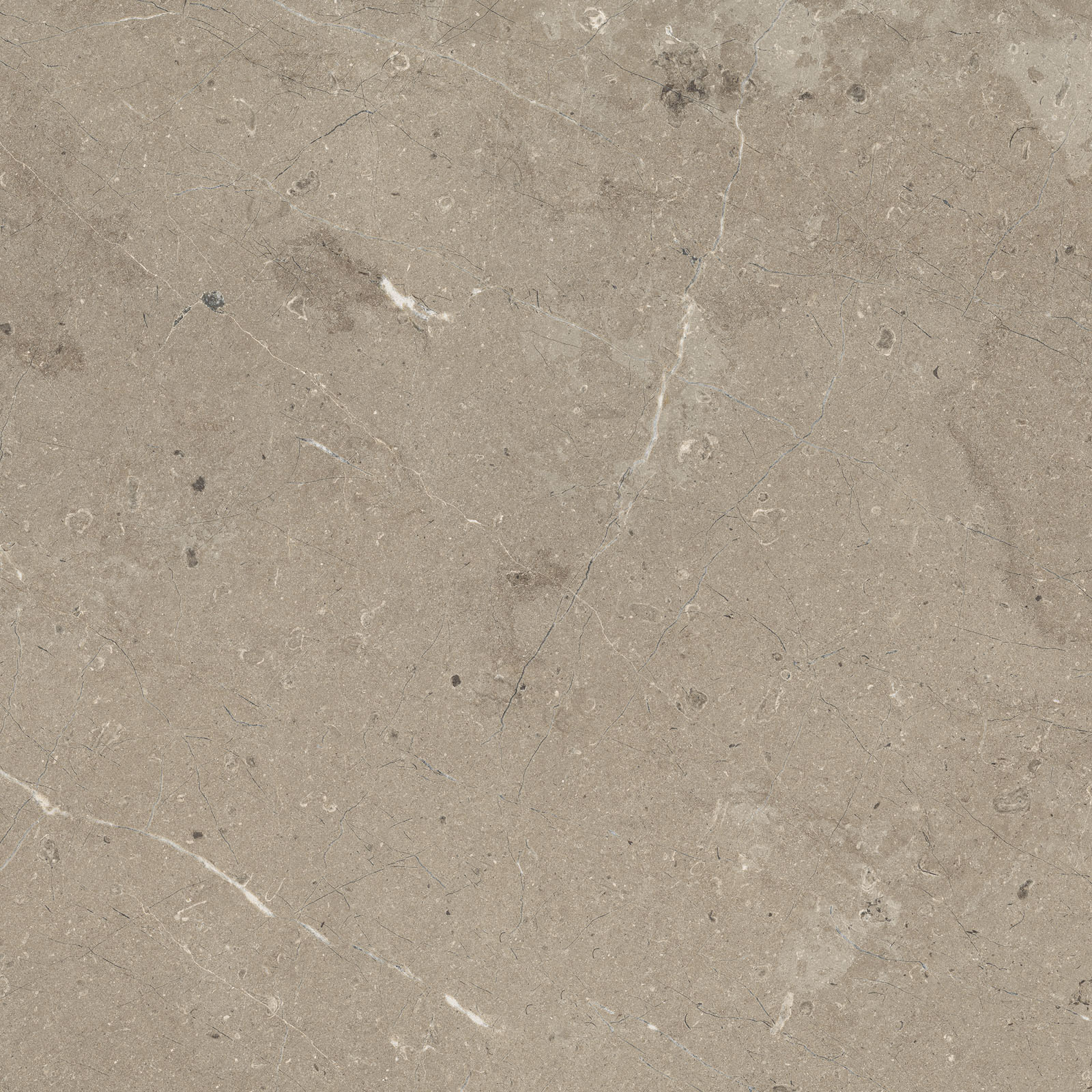Mystone Limestone – M7E9