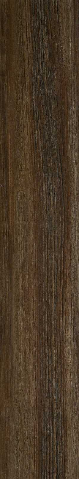 Treverkchic – MH2V