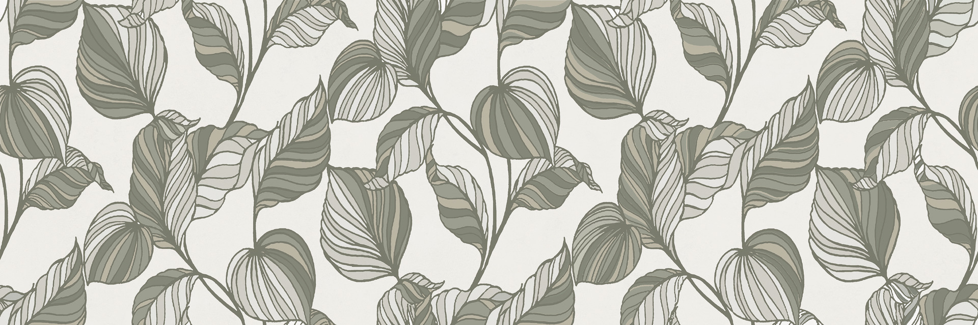 Ragno Vida  - Vida – RA79