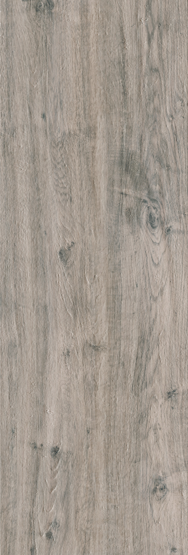 Treverkhome20 – MLUF