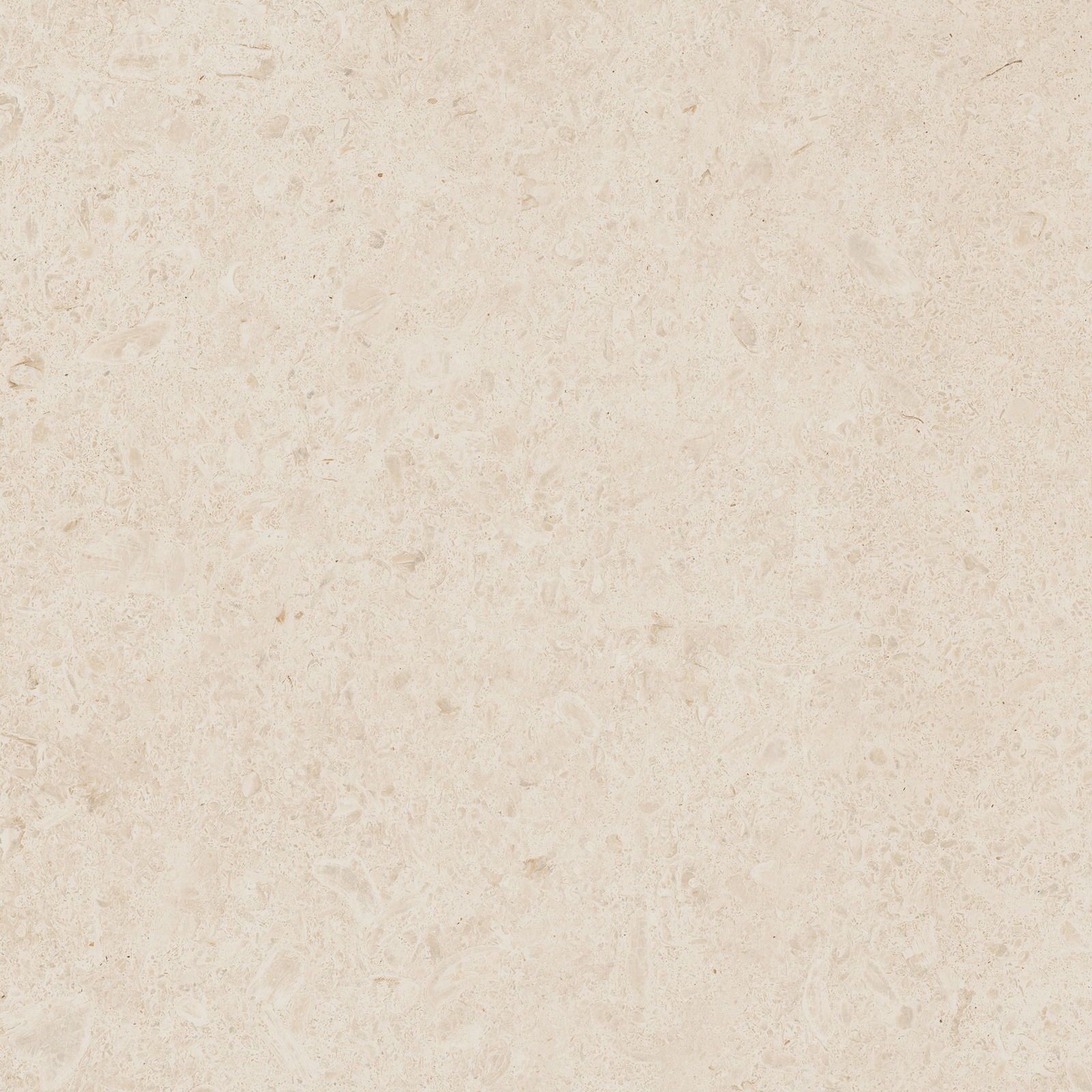 Ragno Eterna  - Eterna – R8KA