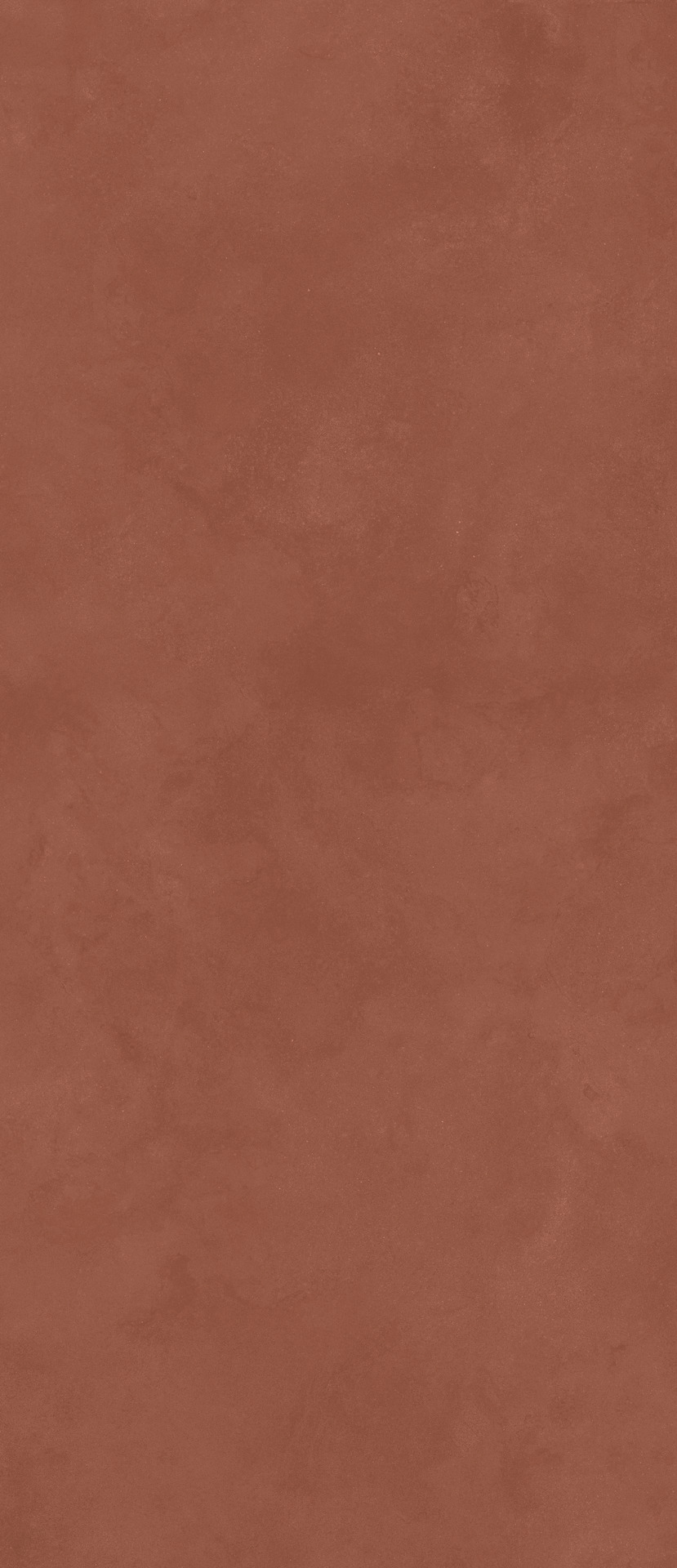 Ragno Stratford  - Stratford – RCFN