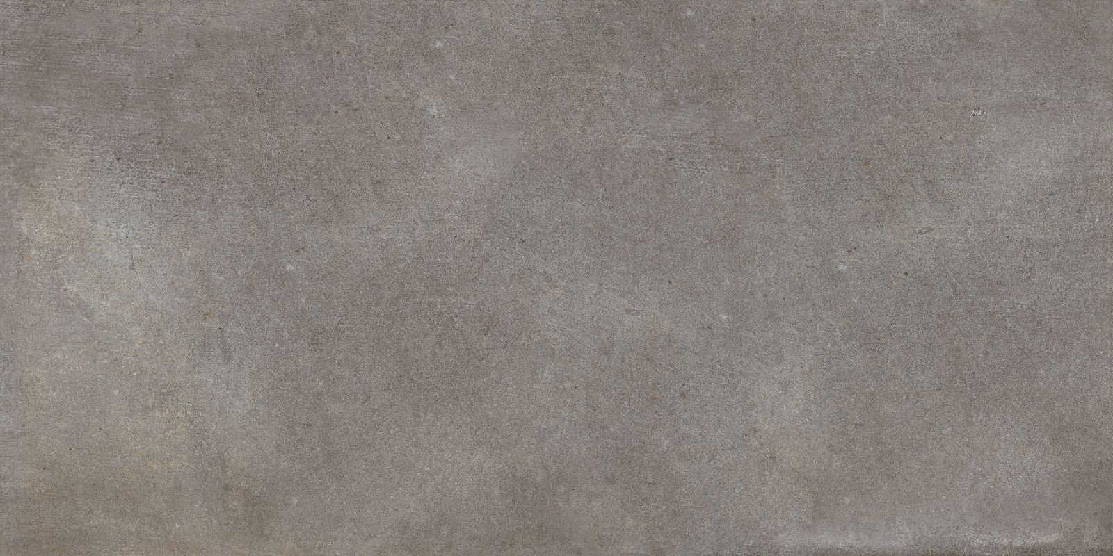 Ragno Studio  - Studio – R4PT