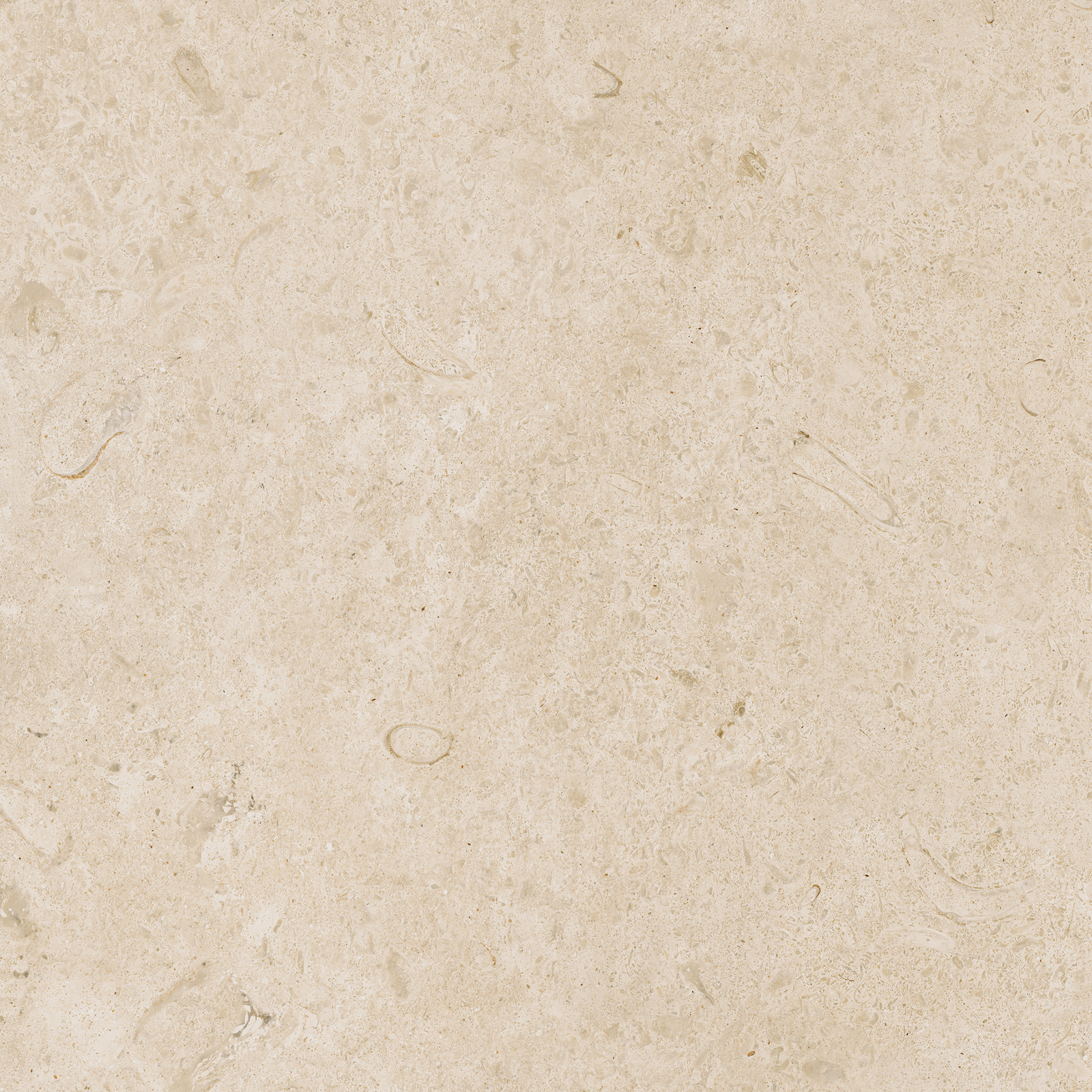 Ragno Eterna  - Eterna – R8JT