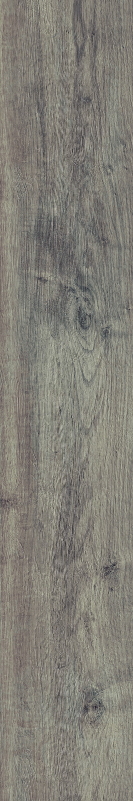 Treverkhome – MLF1