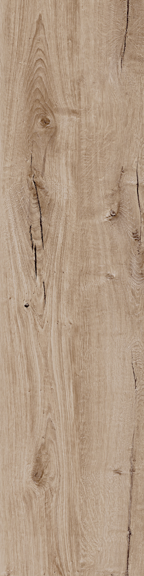 Ragno Woodtale  - Woodtale – R4TJ