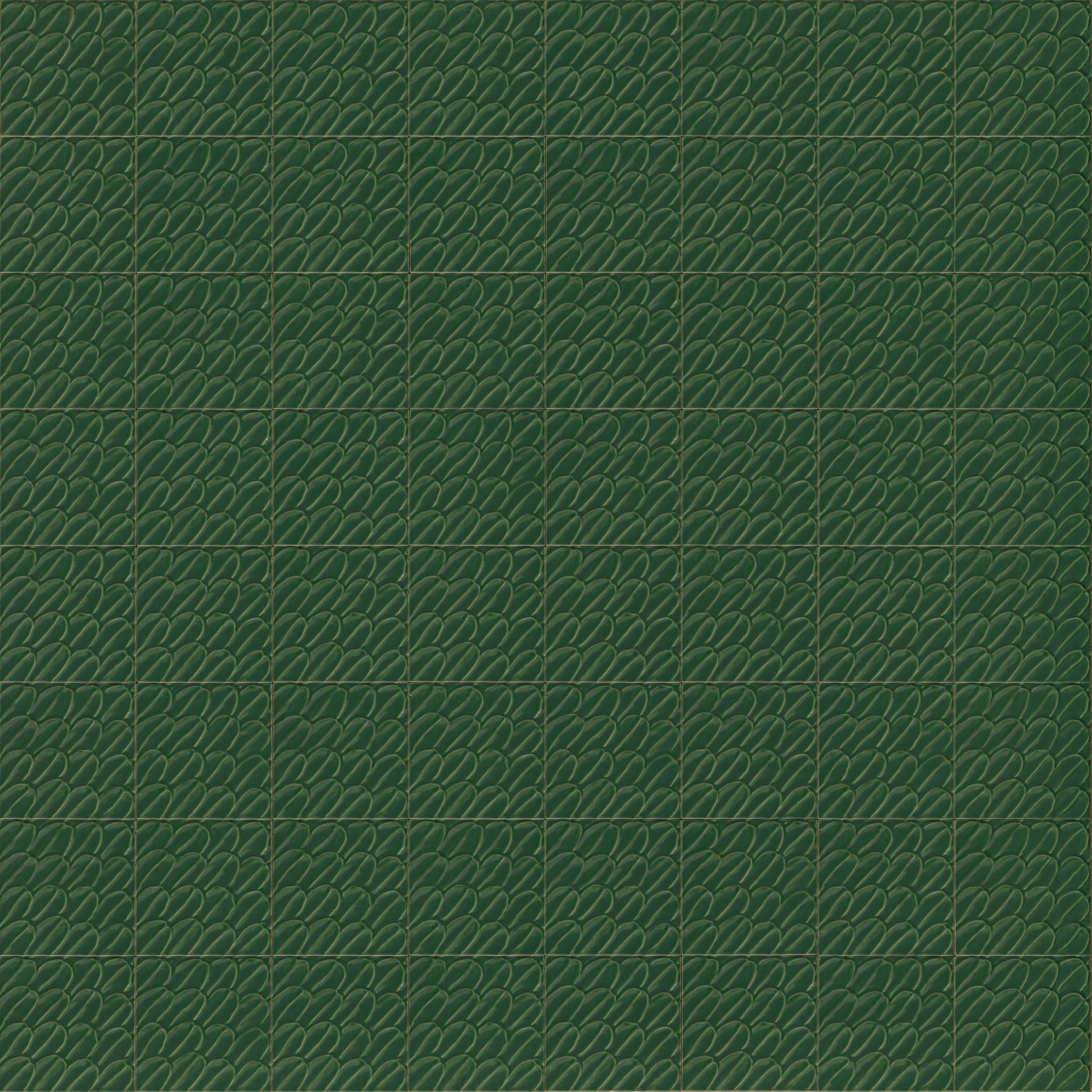 Ragno Sol  - Sol – R9QZ