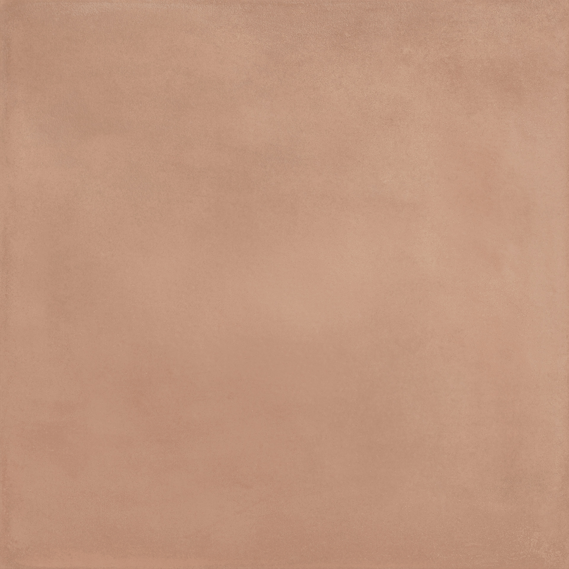 Ragno Amuri  - Amuri – RC8Y