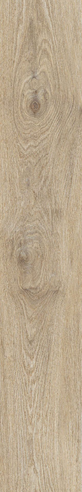 Ragno Ossimori  - Ossimori – R9VS