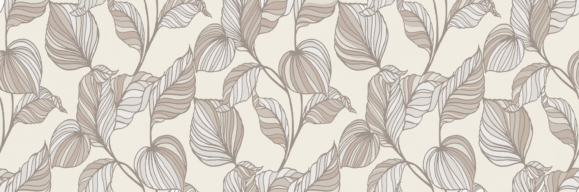 Ragno Vida  - Vida – RA6Z