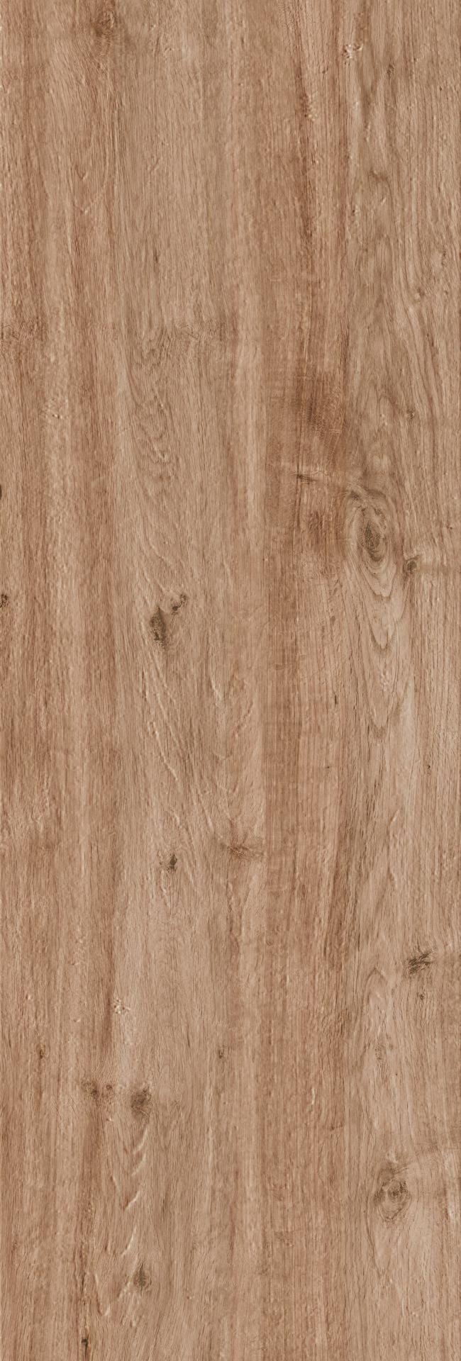 Treverkhome20 – MLUG