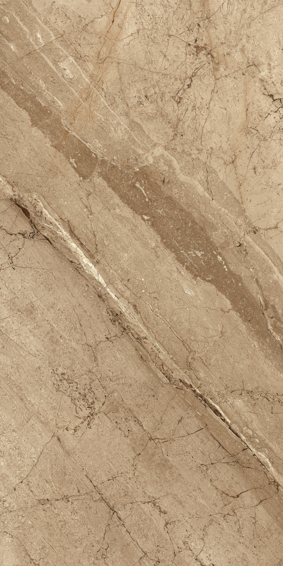 Ragno Incanto  - Incanto – R8TX