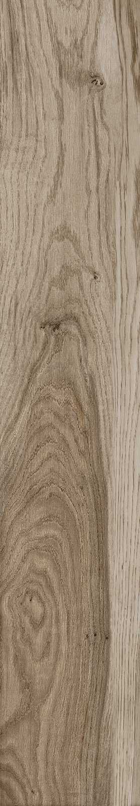 Treverkmore – MMZL