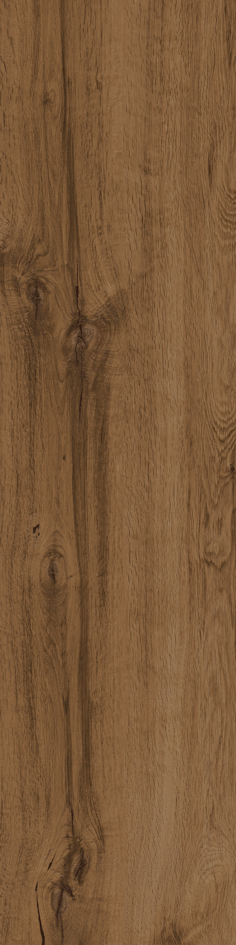 Ragno Woodtale  - Woodtale – R4TL