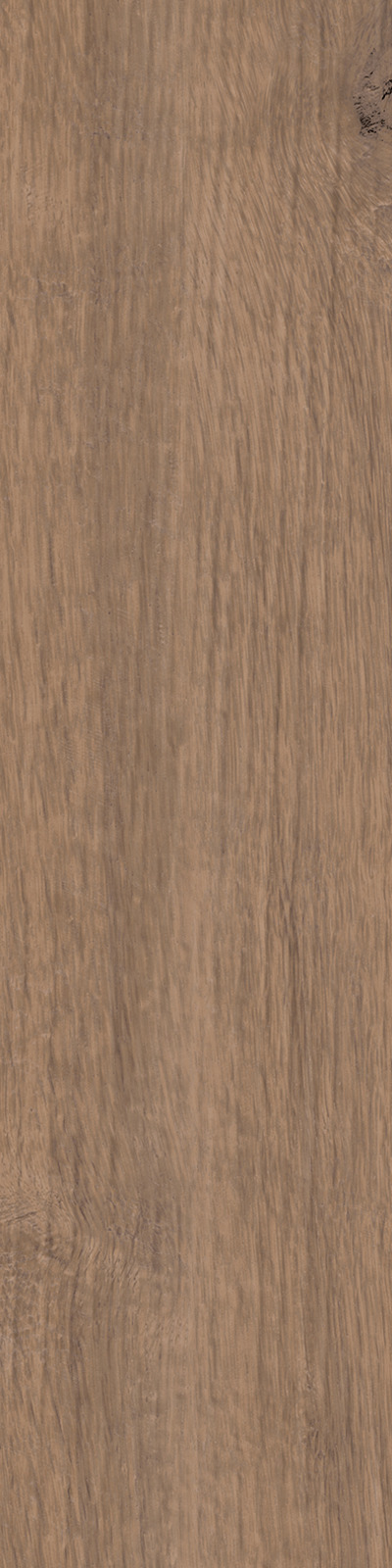 Treverkhome – MJWK