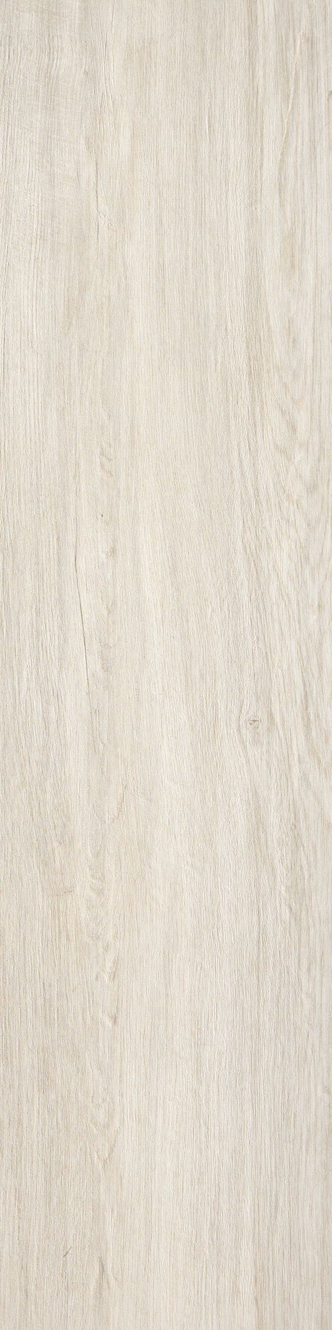 Ragno Woodliving  - Woodliving – R3ZZ