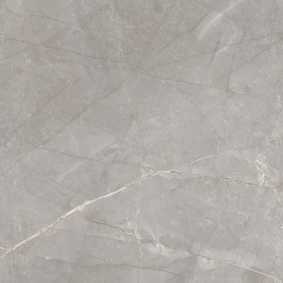Delconca HBO Boutique Grigio