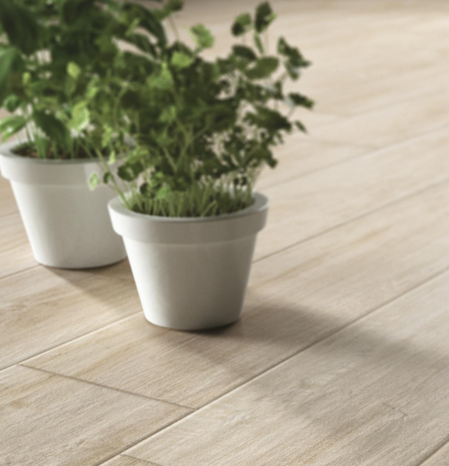 Ragno Woodcomfort Faggio