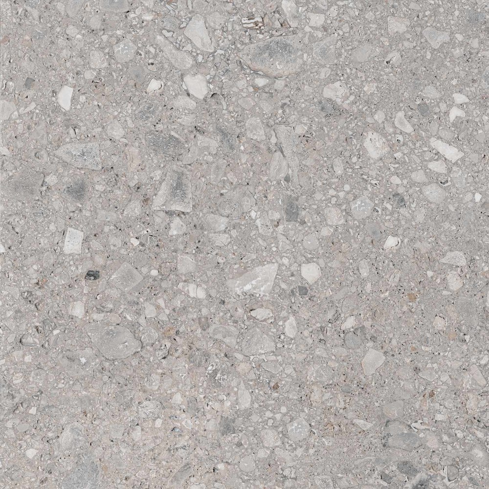 Ariana Futura Cenere