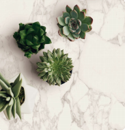 Ragno Bistrot Arabescato