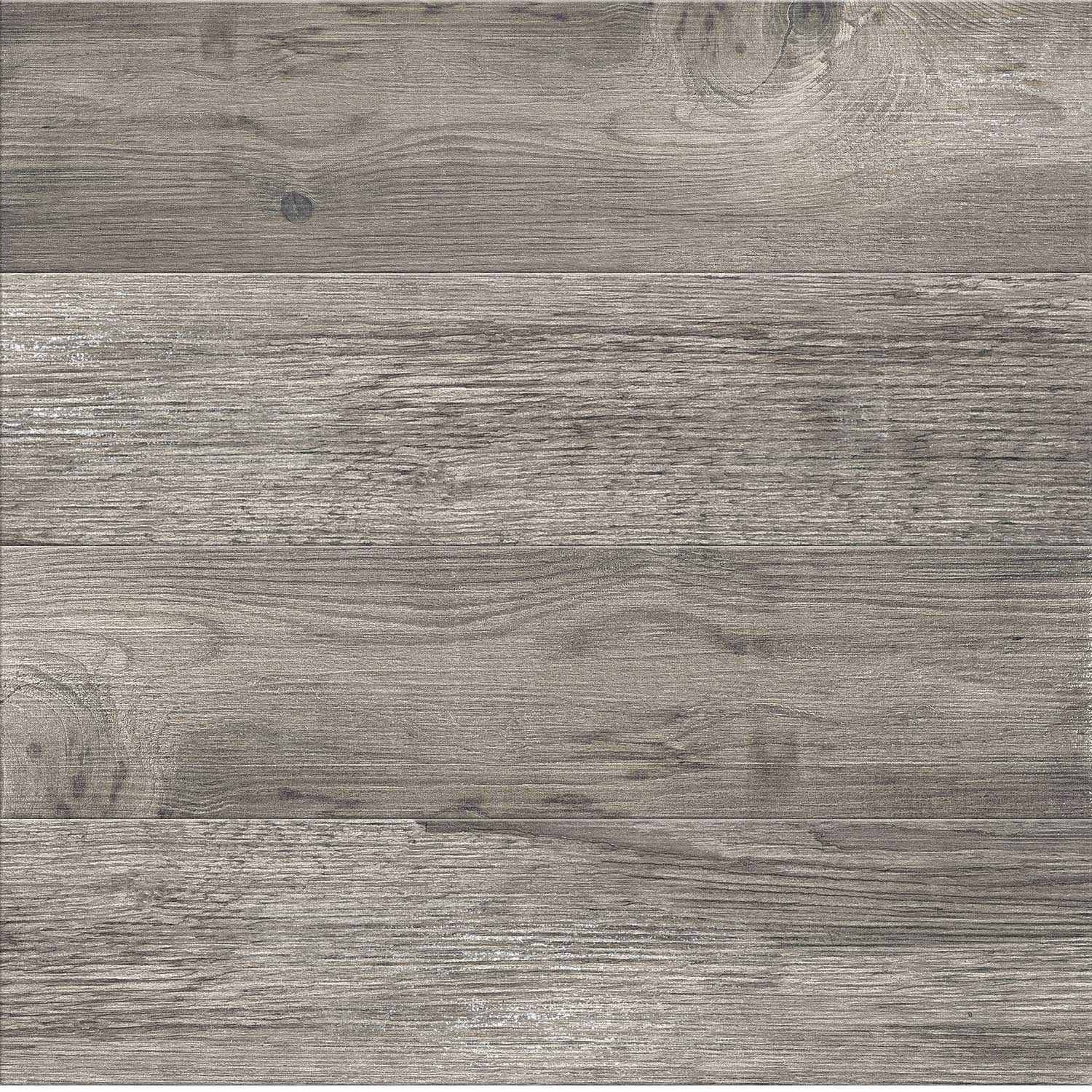 Ariana Larix Tortora