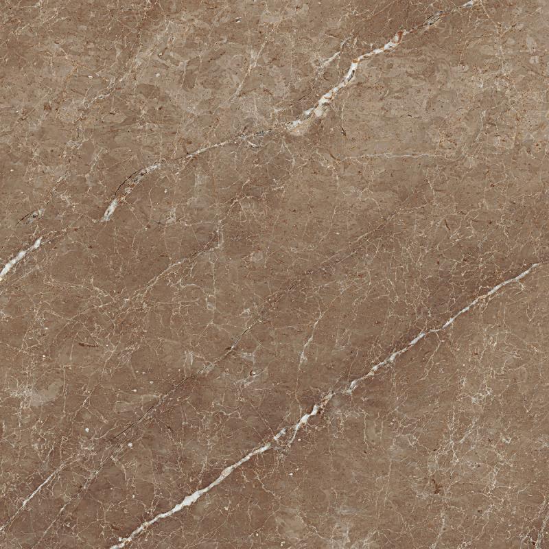 Ragno Symbol Tabacco