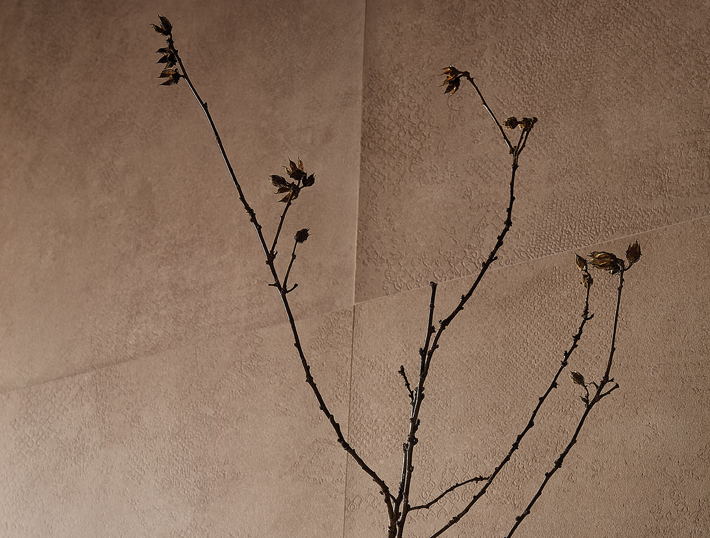 Terratinta Ceramiche Crudatech sfeerbeeld