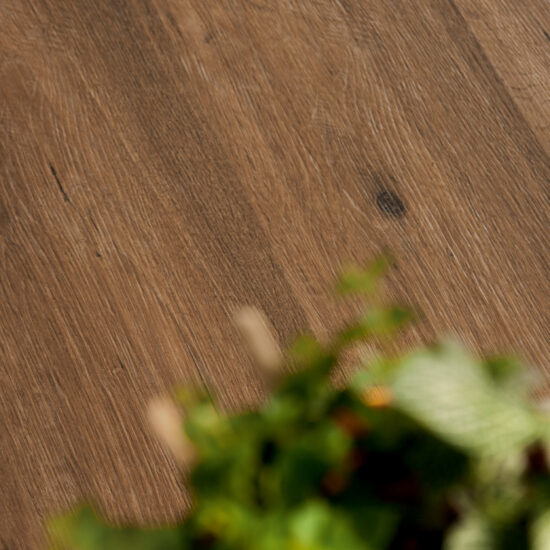 Ragno Woodtale XT20 sfeerbeeld