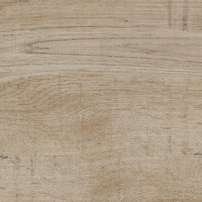 Ragno Freetime Miele