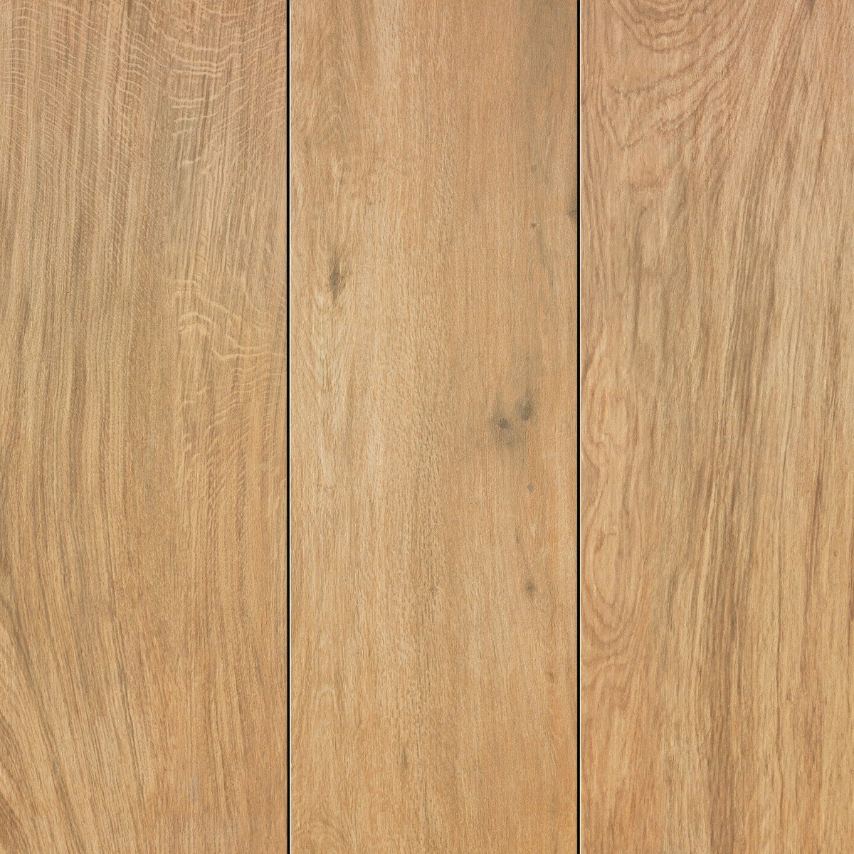 Atlas Concorde Etic Pro Rovere Venice