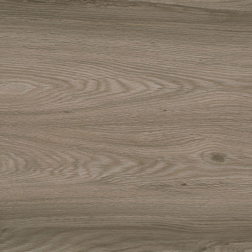 Ragno Escape Tortora