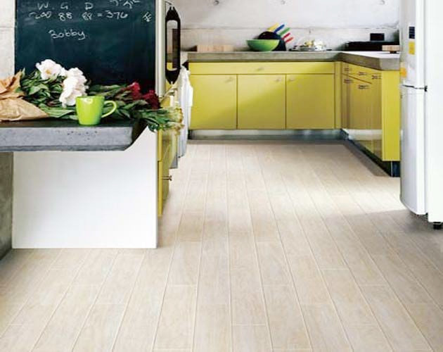 Ragno Arteak Frassino