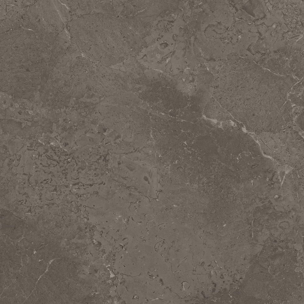 Ragno Bistrot Augustus